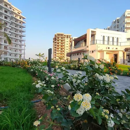 1+1apartment Terra In Caesar Blue With A Sea View Apartment